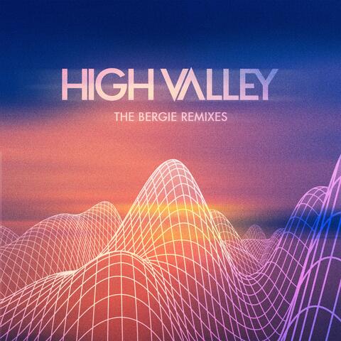 The Bergie Remixes