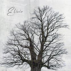 Elixir