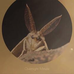 Overnight Minute