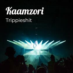 Kaamzori