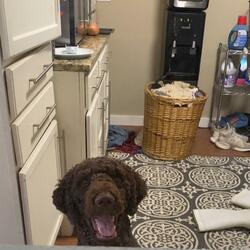 Want Me to Look Good, This Is What I Do