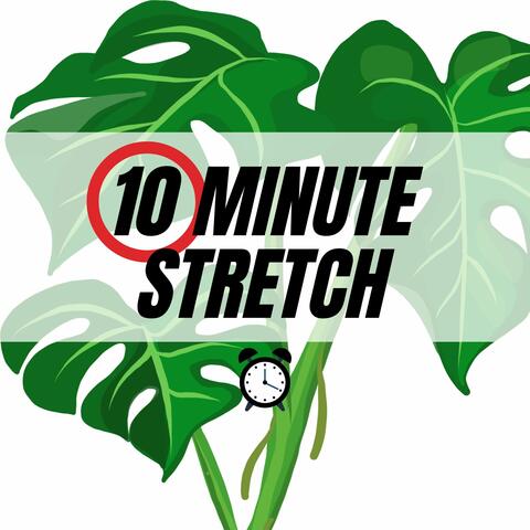 10 Minute Stretch