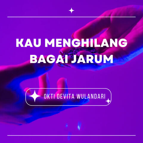 Kau Menghilang Bagai Jarum