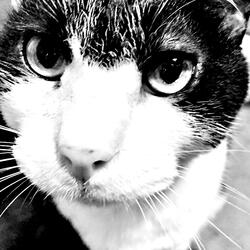 ロックンロール