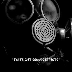 fart sounds effect meme