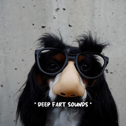 fart sound meme