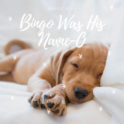 Bingo Was His Name-O