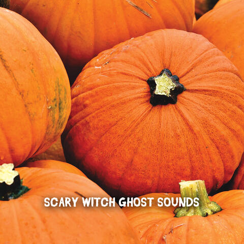 Scary Witch Ghost Sounds