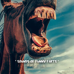 sounds to help you poop