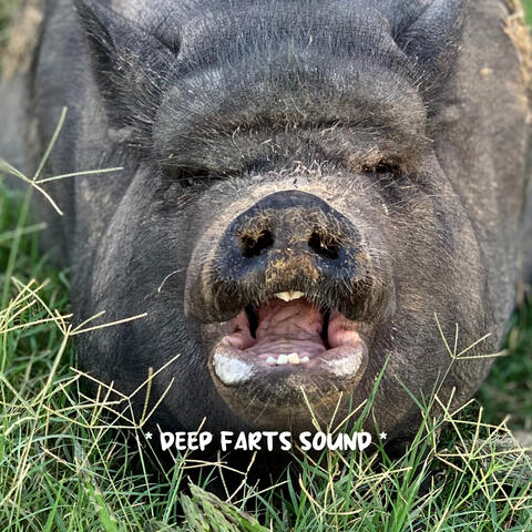 * deep farts sound *