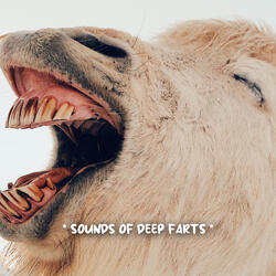 fart sounds comedy