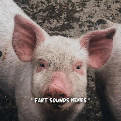 comedy fart sounds
