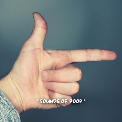farts wet sounds effects