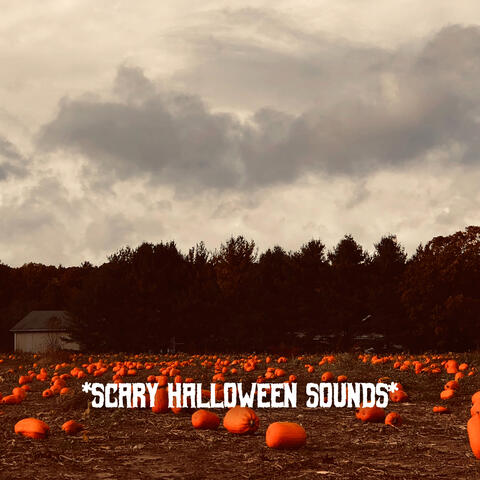* Scary Halloween Sounds *