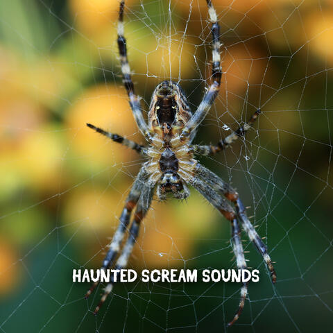 Haunted Scream Sounds