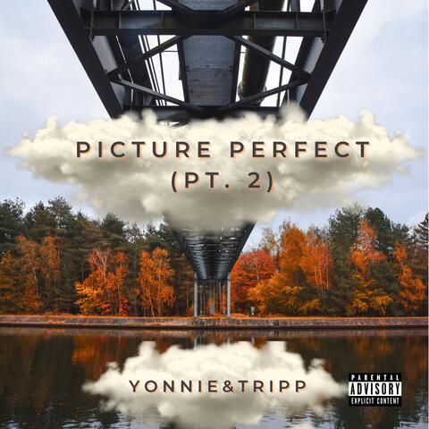 Picture Perfect (Pt. 2)