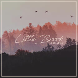Little Brook