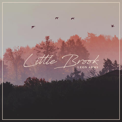 Little Brook