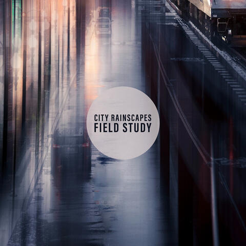 City Rainscapes