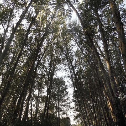 Я не найду выхода