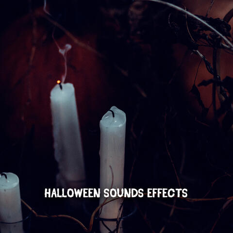 Halloween Sounds Effects
