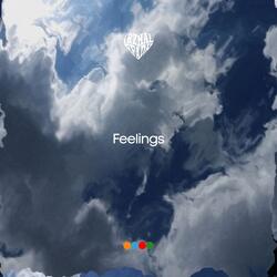 Feelings