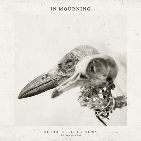 Blood in the furrows - Reimagined