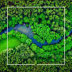 Green Noise of Nature