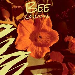 Bee Collapse