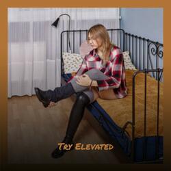 Try Elevated