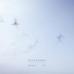 Recovery 6.0