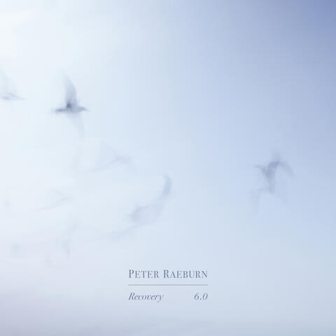 Recovery 6.0
