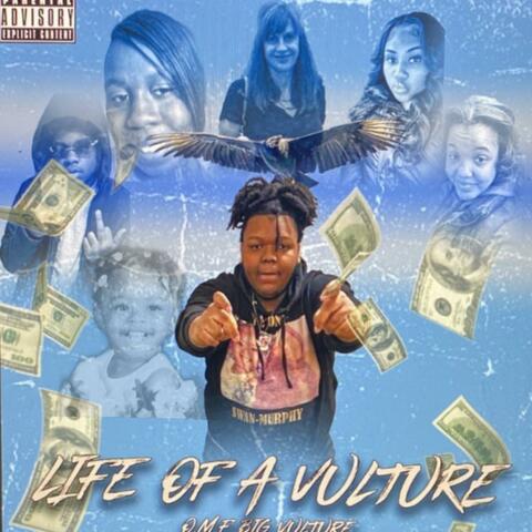 Life Of A Vulture