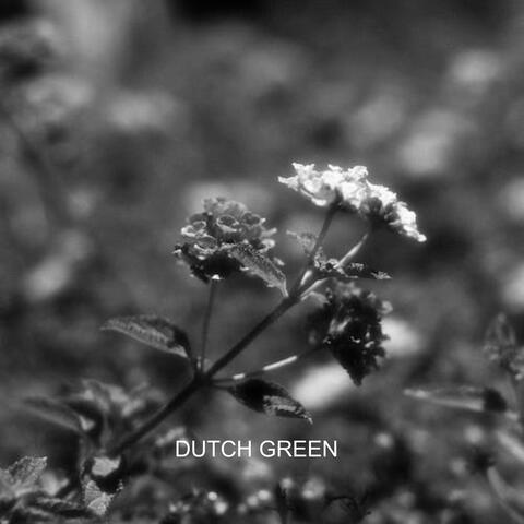 dutch green