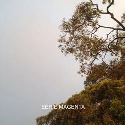 eerie magenta