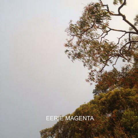 eerie magenta