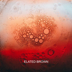 elated brown