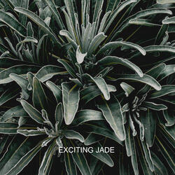 exciting jade