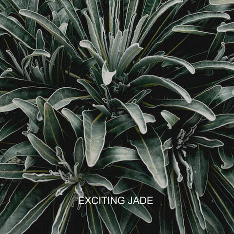 exciting jade