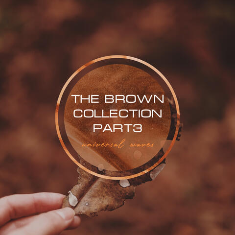 The Brown Collection Part 3