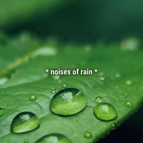 * noises of rain *