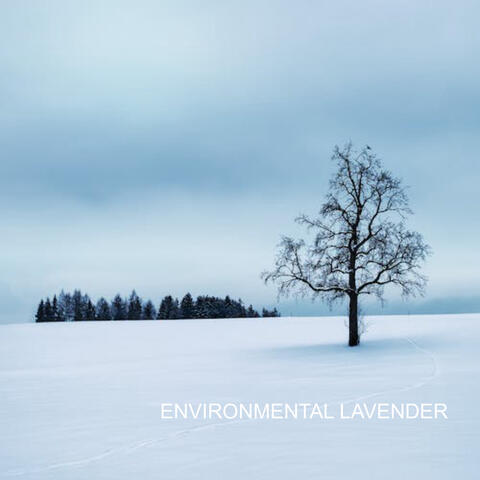environmental lavender