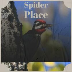 Spider Place