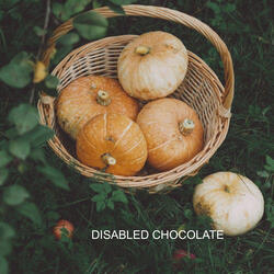 disabled chocolate