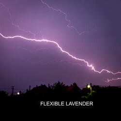 flexible lavender