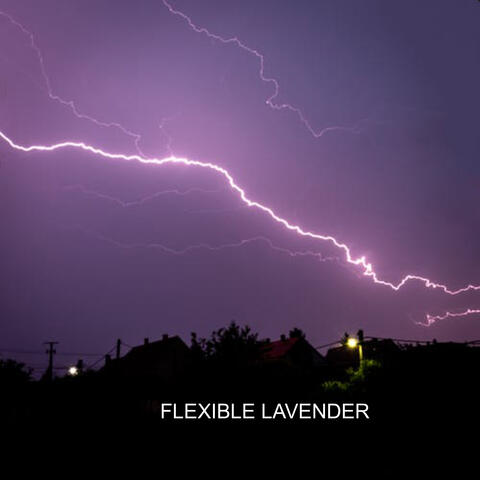 flexible lavender