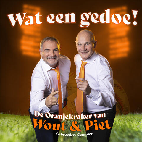 Wat een gedoe