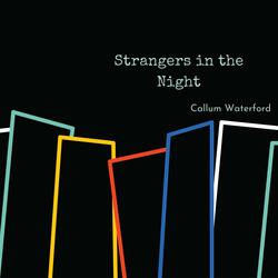 Strangers in the Night