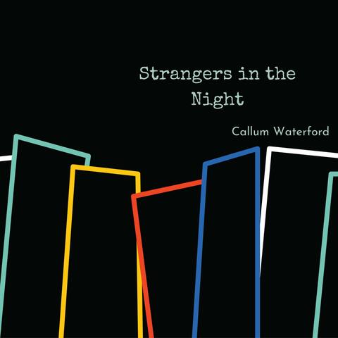 Strangers in the Night