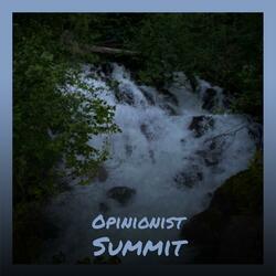 Need Dispute